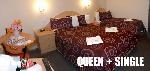 Queen+Single Motel Room